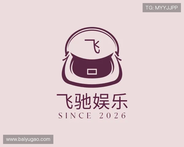 关于飞驰娱乐
